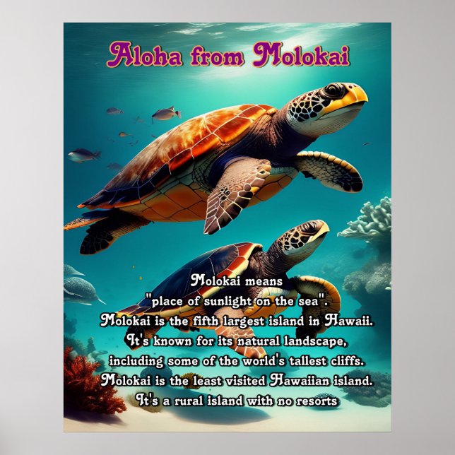 Hawaiianska öarna Molokai Aloha Poster (Framsidan)