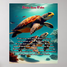 Hawaiianska öarna Oahu Aloha