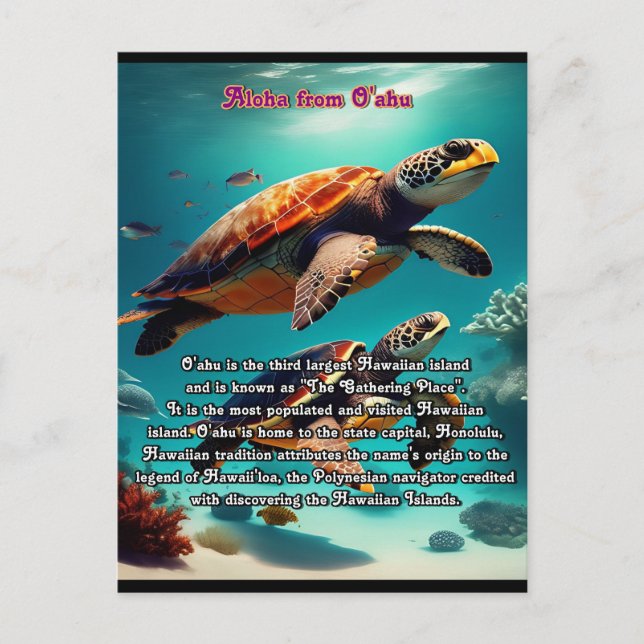 Hawaiianska öarna Oahu Aloha Vykort (Framsida)