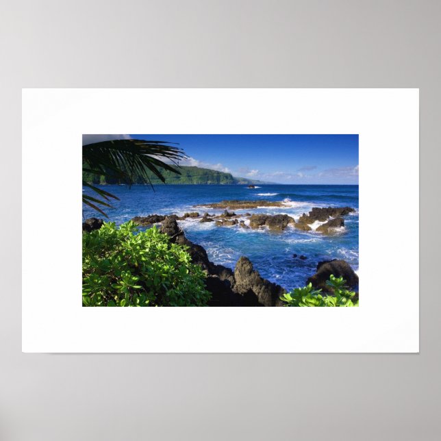 Hawaiianska oceanen Poster (Framsidan)