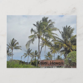 Hawaiianska palmer vykort