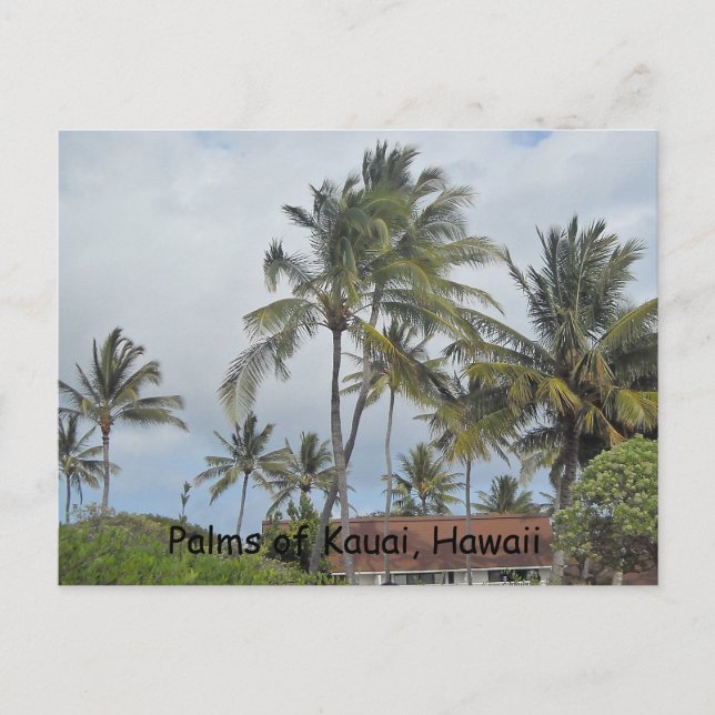 Hawaiianska palmer vykort (Framsida)