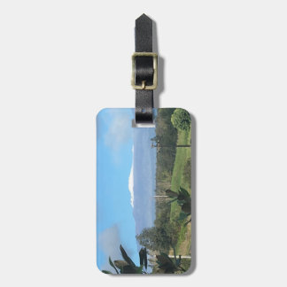 Hawaiianskt bagagetikett bagagebricka