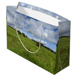 Hawaiianskt naturlandskapsfoto