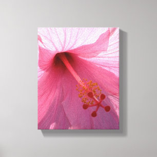 Hawaiianskt rosa hibiskus finkonstfoto canvastryck