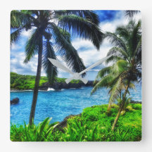 Hawaiibon tar tid på