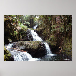 Hawaiin Waterfalls Poster