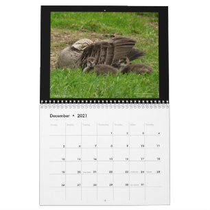 Hawaiis judiska kalender 2021