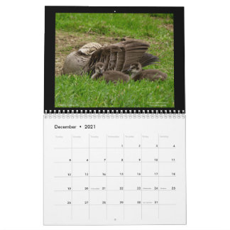 Hawaiis judiska kalender 2021