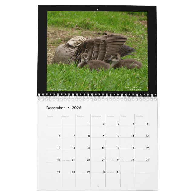 Hawaiis judiska kalender 2021 (Dec 2026)