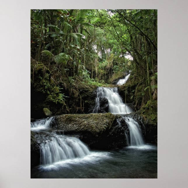HAWAII'S ONOMEA FALLS POSTER (Framsidan)