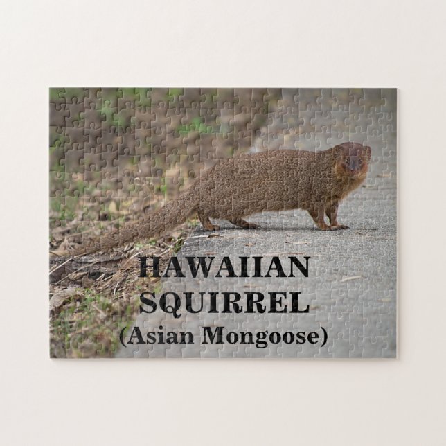 Hawaiisk ekorre (asiatisk mongosa) Fotopussel (Horisontell)