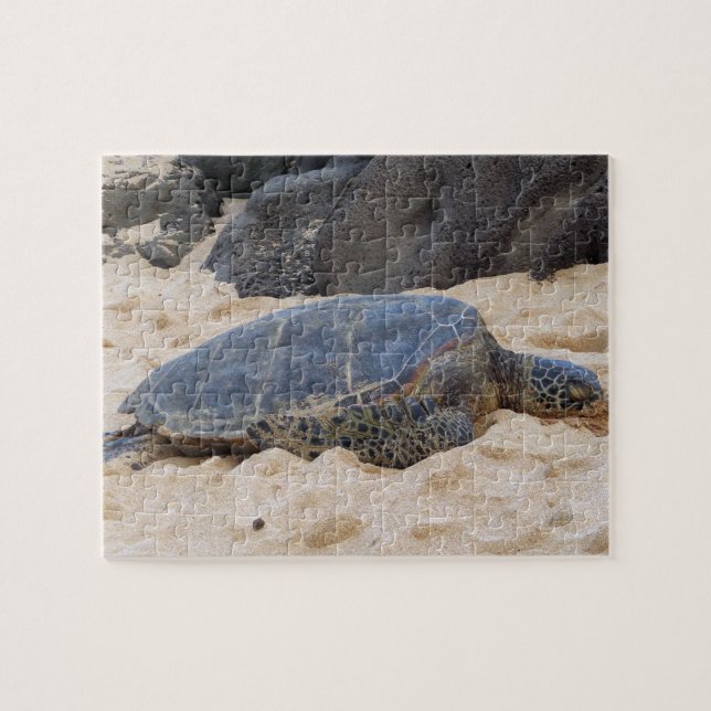 Hawaiisk havssköldpadda pussel (Horisontell)