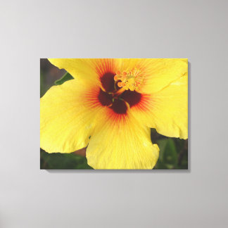 Hawaiisk Hibiscus Flower Wrapped Canvas Skriv ut