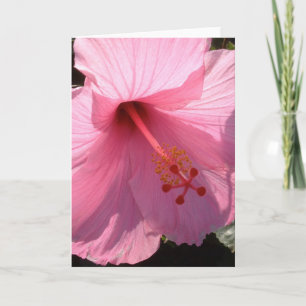 Hawaiisk Rosa Hibiscus Fine Art Photo Anteckningskort