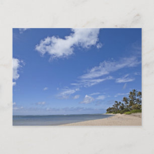 Hawaiisk strand med handflatan träd. vykort