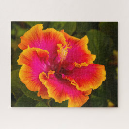 Hawaiiska Fuchsia och Orange Hibiscus från Kauai Pussel