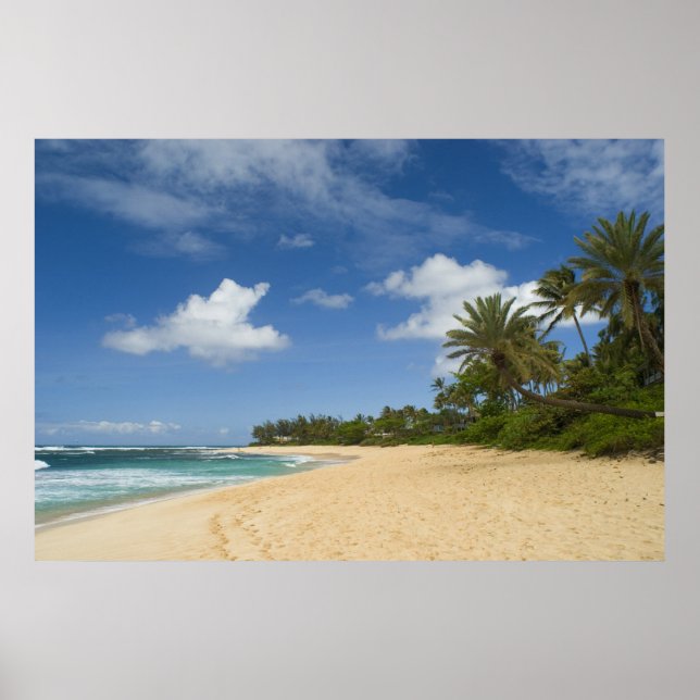 Hawaiiskt strand poster FRÅN 8,99 (Framsidan)