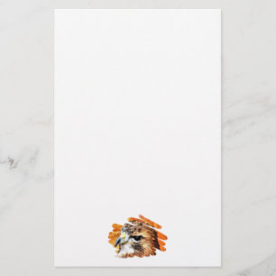 HAWK BREVPAPPER