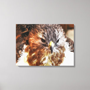HAWK CANVASTRYCK