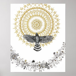 Hawk Dreams Poster