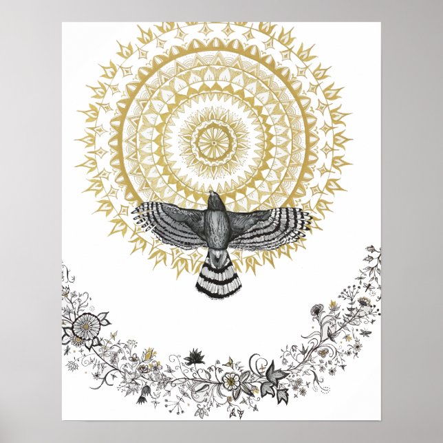 Hawk Dreams Poster (Framsidan)