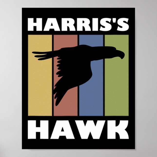 Hawk Falcon Hunter Poster (Framsidan)