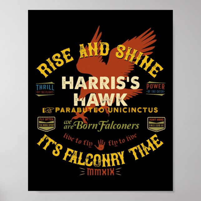 Hawk Falconry Design Harris Hawk Falconry Supplies Poster (Framsidan)