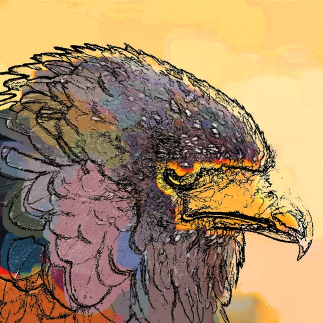HAWK FLASKÖPPNARE (A vibrant art design of a Harris Hawk bird of prey.)