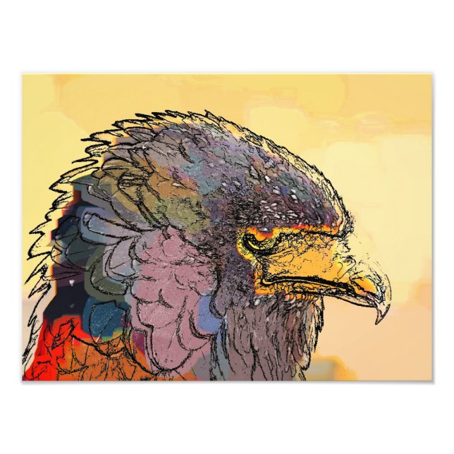 HAWK FOTOTRYCK (Framsidan)