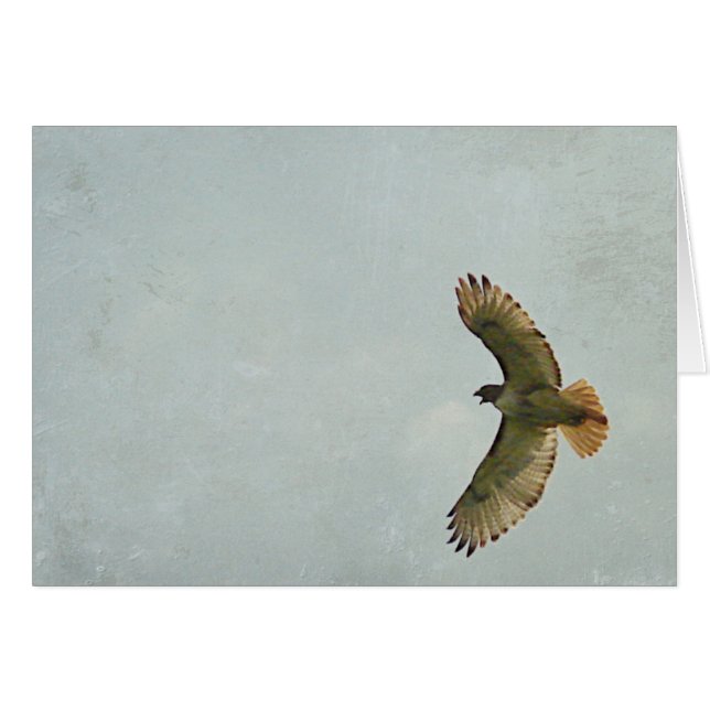 Hawk Hälsningskort (Framsidan Horizontal)