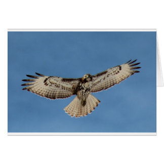 Hawk Hälsningskort