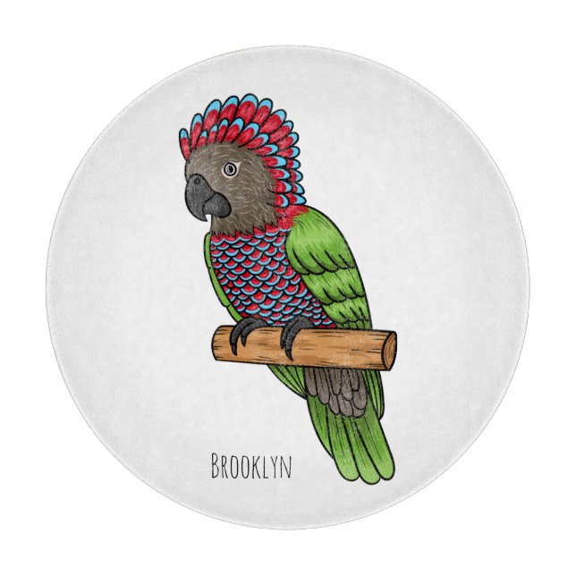 Hawk headed parrot bird cartoon illustration (Framsidan)
