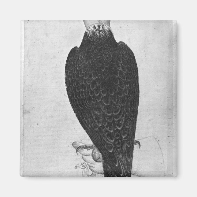 Hawk i hand magnet (Framsidan)