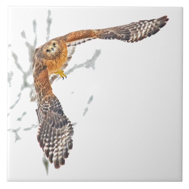 Hawk in Flight Kakelplatta (Framsidan)