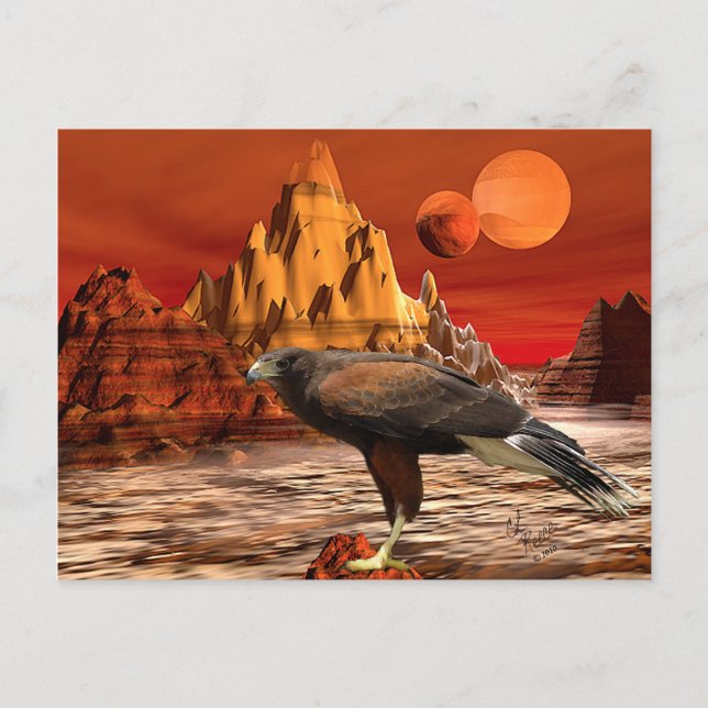 Hawk in Red Mountains Postcard Vykort (Framsida)