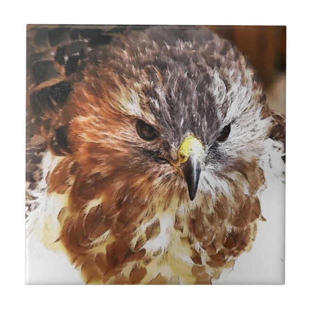 HAWK KAKELPLATTA (Framsidan)