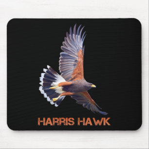 Hawk Kamala Harris Musmatta
