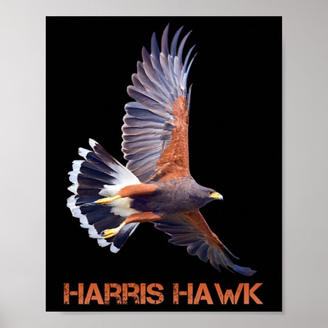 Hawk Kamala Harris Poster (Framsidan)