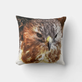 HAWK KUDDE