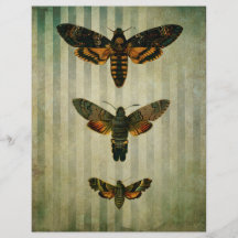 Hawk Moths Vintage Scrapbook Ephemera