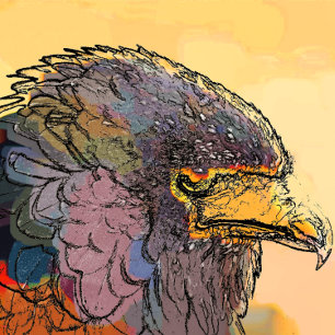 HAWK MUSMATTA
