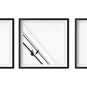 Hawk och Kråka på Powerlines Poster