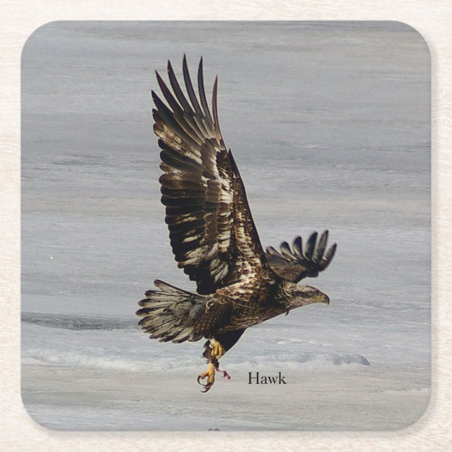 Hawk papper underlägg kvadrat (Framsidan)