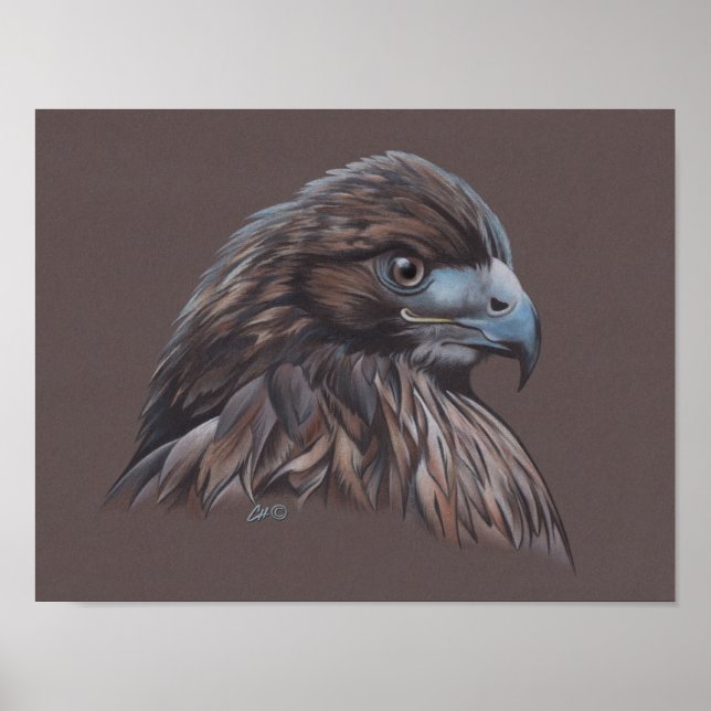 Hawk Poster (Framsidan)