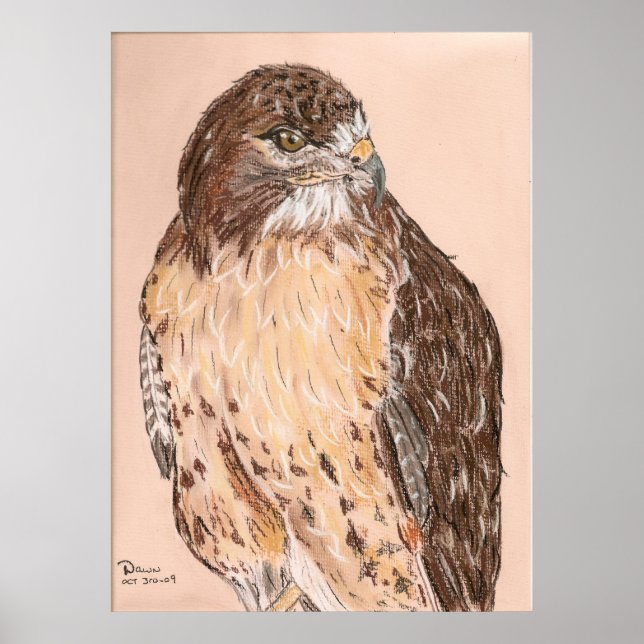 Hawk Poster (Framsidan)