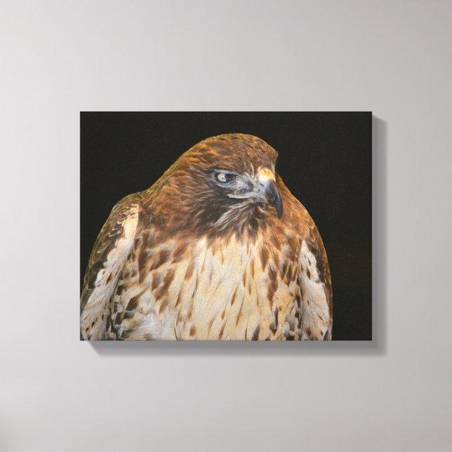 Hawk Power Animal Canvastryck (Framsida)