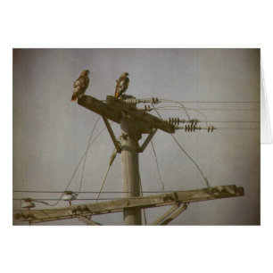 Hawk Power Hälsningskort