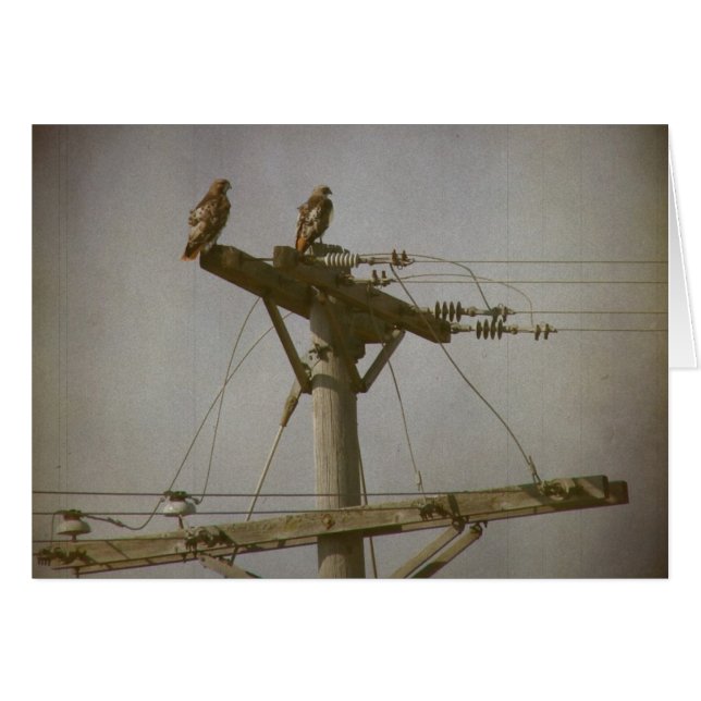 Hawk Power Hälsningskort (Framsidan Horizontal)