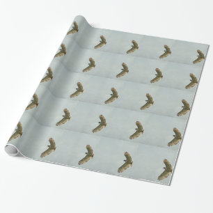 Hawk Presentpapper